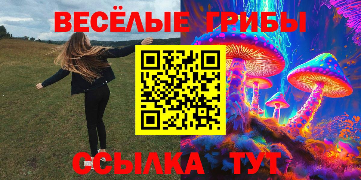 Тамбов  Псилоцибиновые грибы Psilocybe  Псилоцибиновые грибы Magic Shrooms  Вход с VPN 